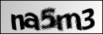 captcha1